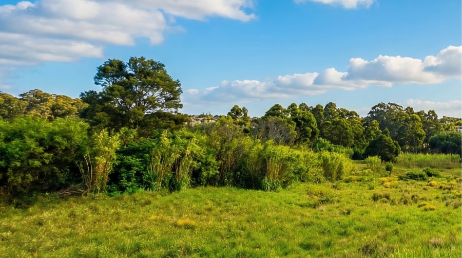 0 Bedroom Property for Sale in Kabega Park Eastern Cape